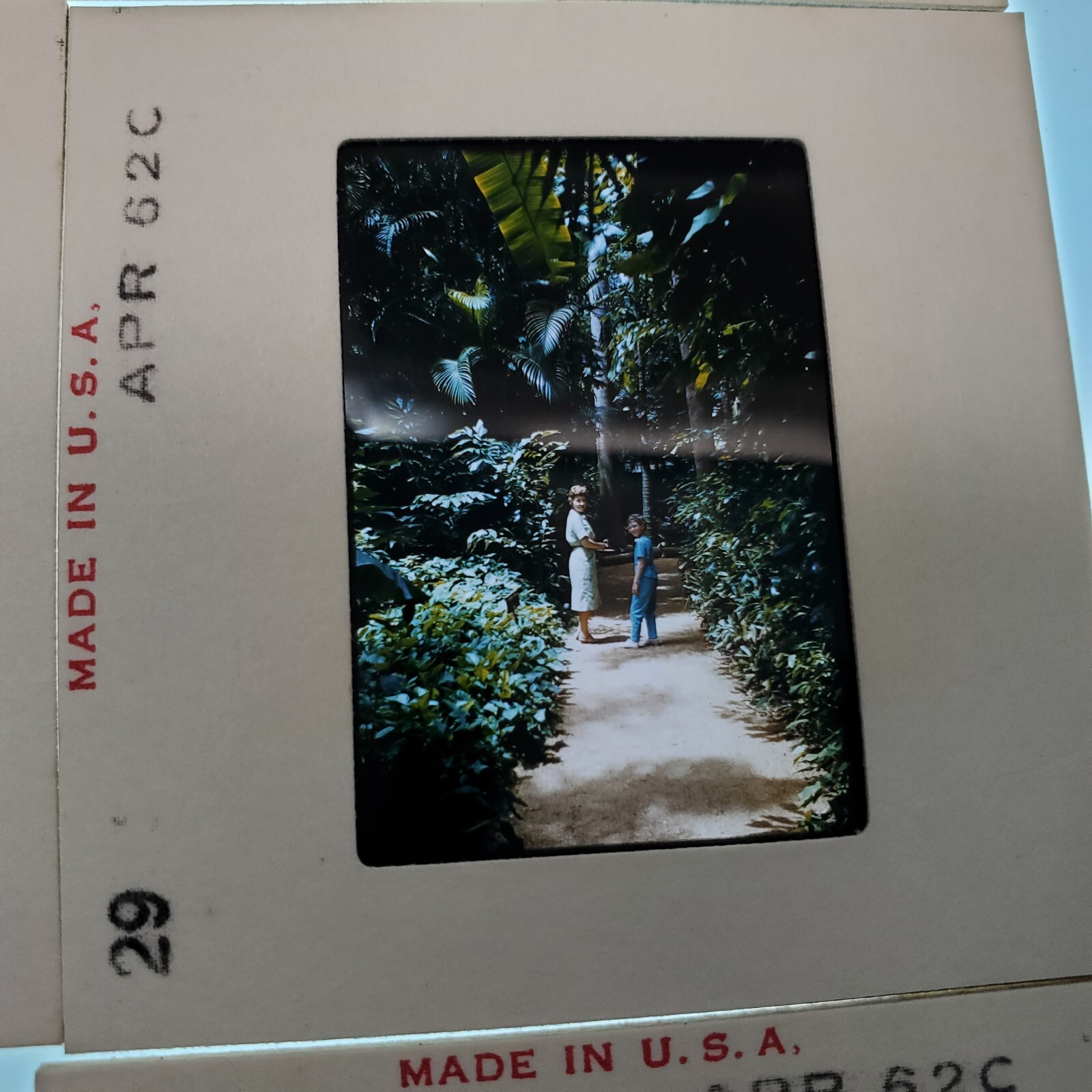 Picture 4 of 15