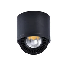 Dimmable/N LED COB Ceiling Lamp Rotatable Picture Light Fixture Aisle Downlight