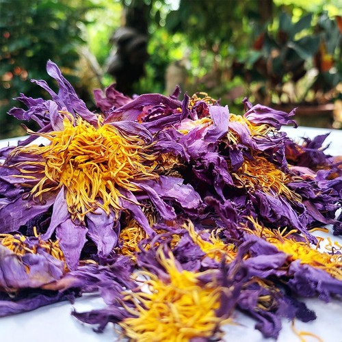 100% Organic Herba Dried Blue Lotus Flower (Nymphaea Caerulea)  for Healthy Life - Picture 3 of 7
