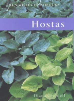 Hostas By Diana Grenfell