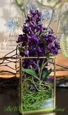 Vintage Glass Terrarium Deep Purple Hyacinth Moss