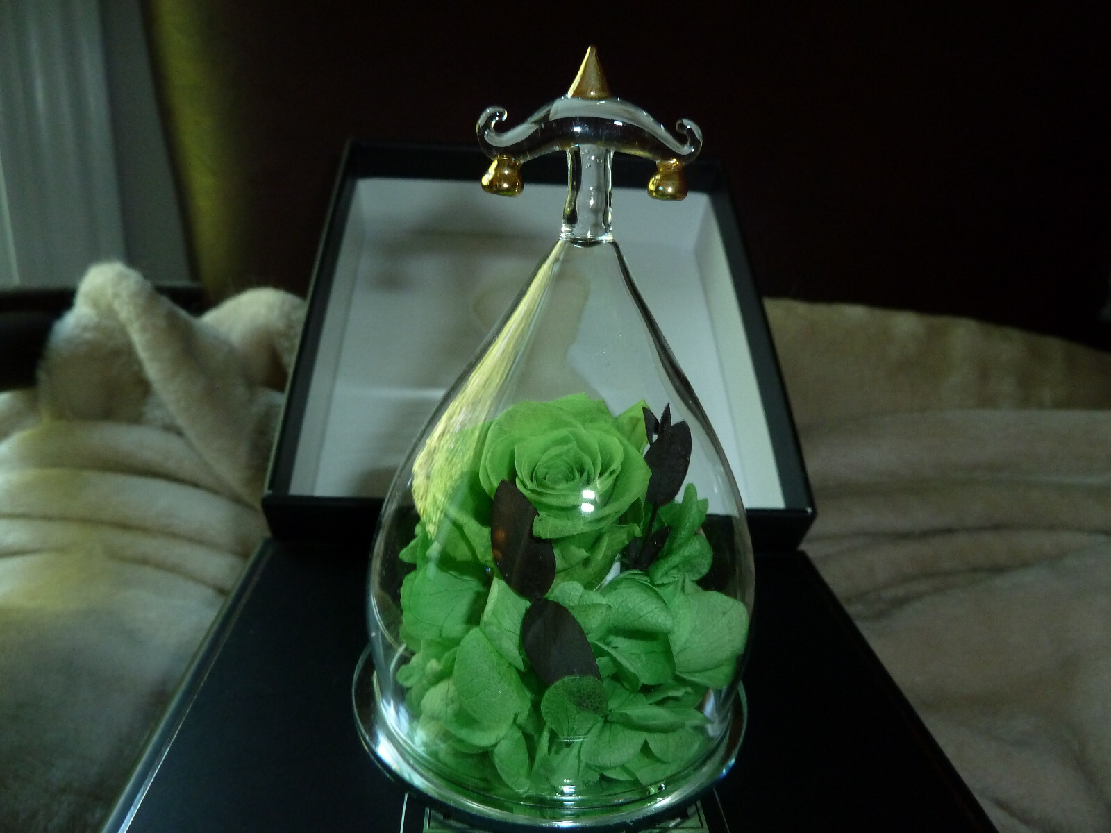 Hoomna Zodiac Forever Preserved Real Rose birthday gift for zodiac