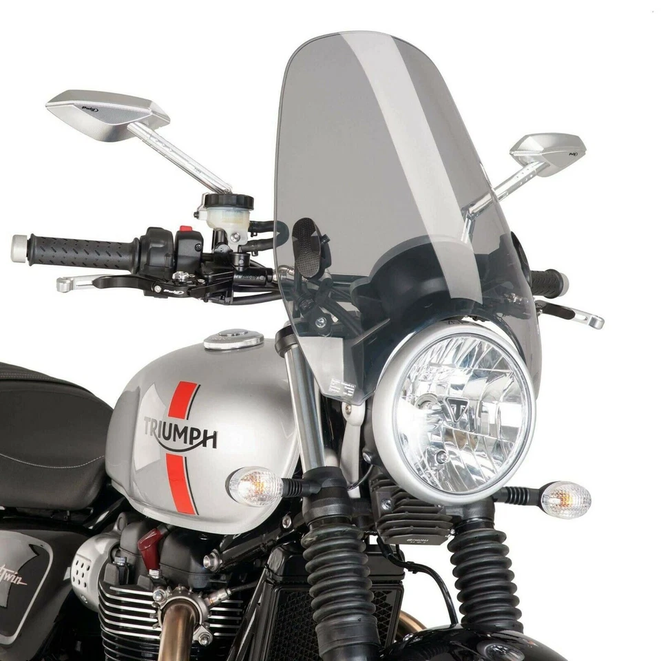 Luz de humo parabrisas Puig Custom 2 pantallas BMW G650 X 2007 - 2010 Foto 4 de 4