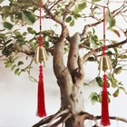 Foto 11 di 32