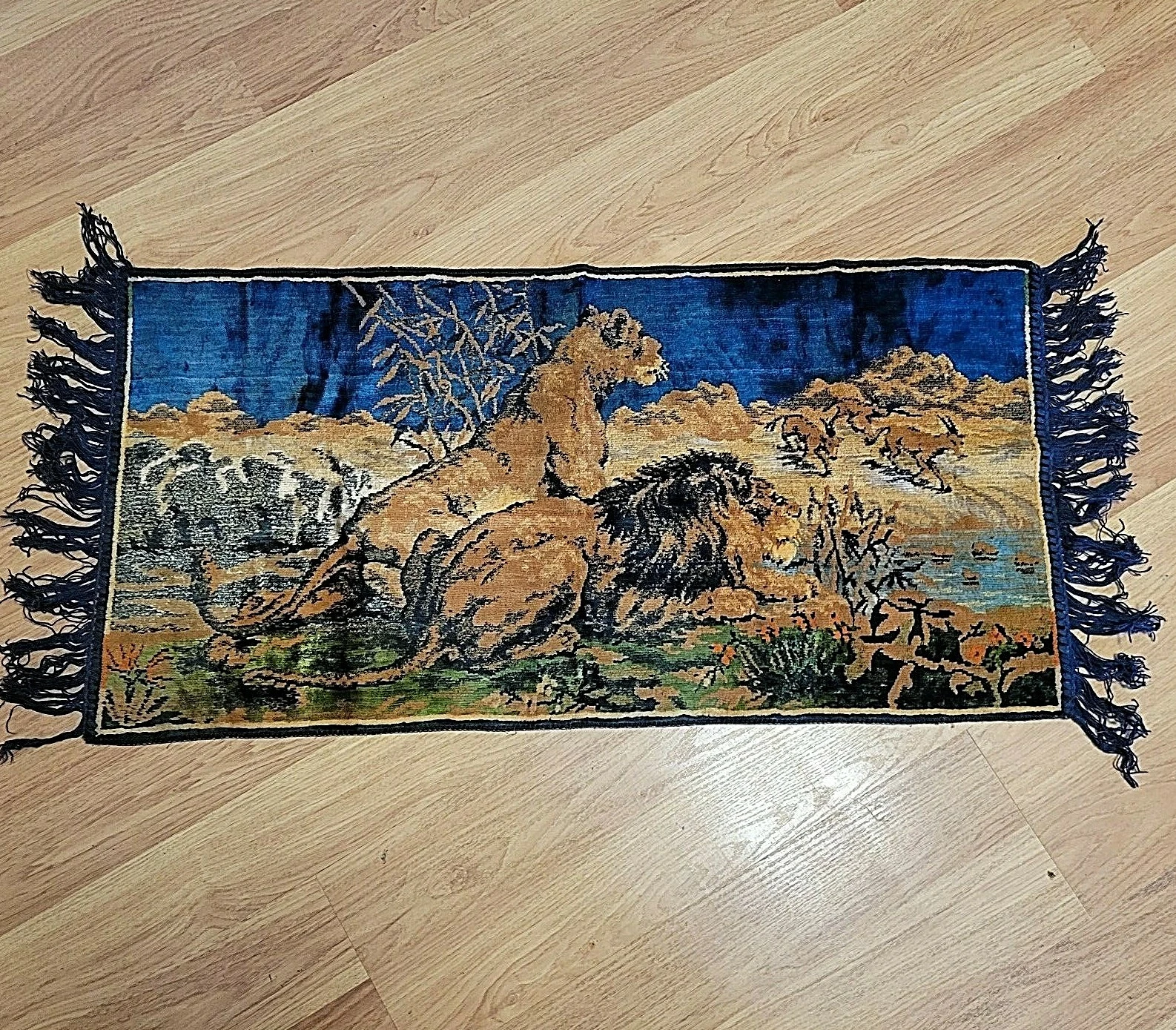 Picture 1 of 12