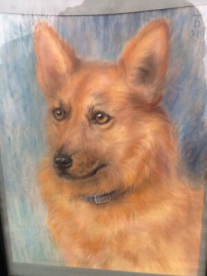 VINTAGE PASTELL EINES HUNDES. MONOGRAMMIERT MDH. Sehr guter Zustand.