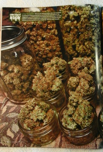High Times Nov 2019 The Sports Issue NFL - Picture 5 of 12