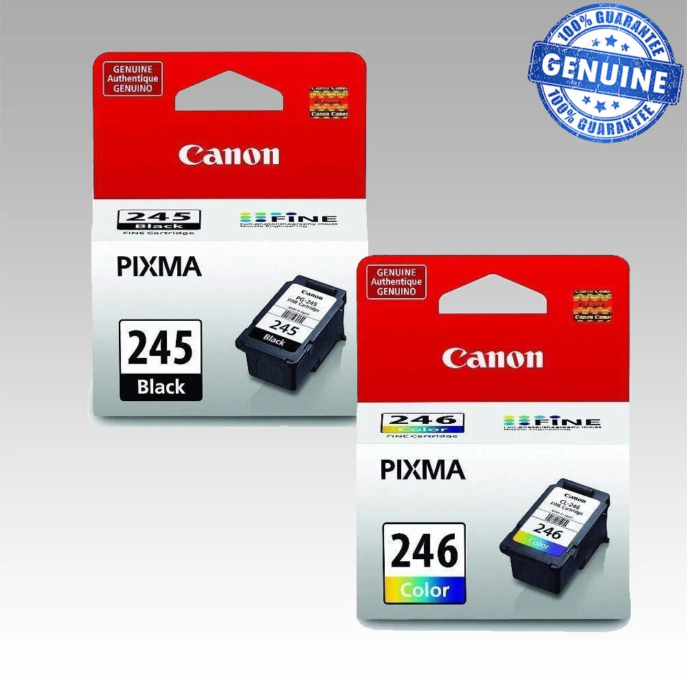 Canon printer 2024 ink 245