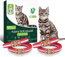 4 Pack Collar for Cats- 32 Months Protection Water Resistant Cat Collars for Kit