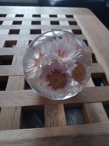 HAFOD LODGE BRIEFBESCHWERER FLORAL