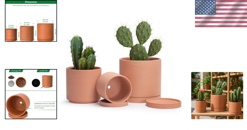 Terracotta Planter Trio with Saucers - Image 2 of 4