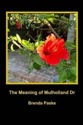 The Meaning of Mulholland Dr: David Lynch's Masterpiece by Brenda Paske Paperbac