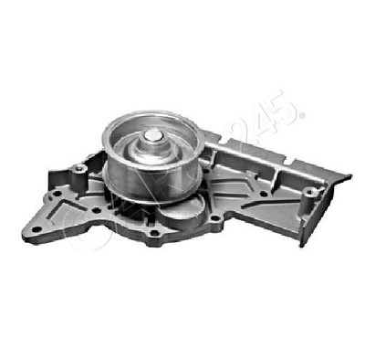 Wasserpumpe Für AUDI A4 A6 A8 B6 B7 C5 C6 3.0L BBJ ASN AVK 06C121004C