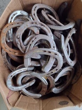 HORSESHOES -40 USED STEEL   OKLAHOMA HORSESHOES - Horse Shoe -  SHIPS FAST!
