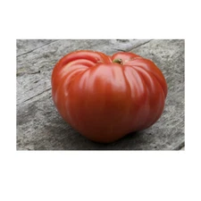 100+ German Johnson Giant Tomato Seeds | Non-GMO, Heirloom | Fresh