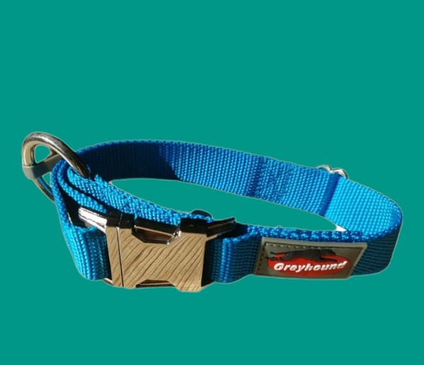 Halsband,47-62Cm,TüRkis,Nylon, Hundehalsband,Greyhound,Trendline,Silber,Gr.L ,-image