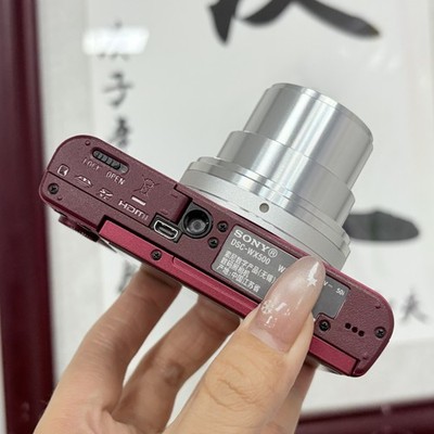 Sony Cyber-shot DSC-WX500 Camera - 30x ZEISS Zoom, 180° Flip