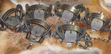 6 DUKE #2 COIL SPRING TRAPS RACCOON COYOTE BOBCAT FOX LYNX NEW SALE 