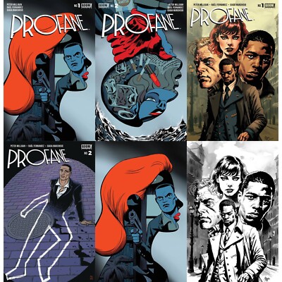 Profane (2024) #1 2 BOOM! Studios COVER SELECT