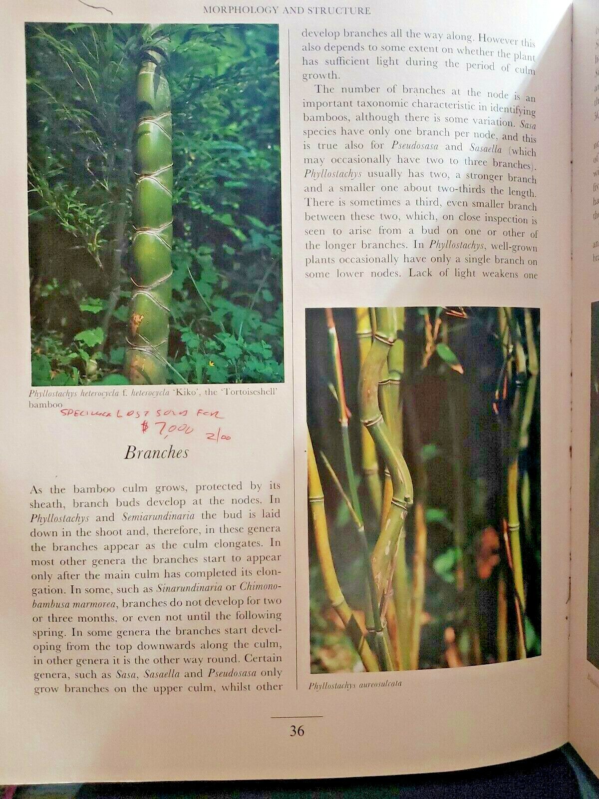 Picture 6 of 7