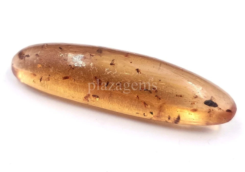 37.80  Natural  Amber Insect Inclusion Certified Loose Gemstone 5ARN - Image 3 of 4