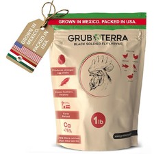 GrubTerra Black Soldier Fly Larvae for Chickens   Dried 1 Pound Pack of 1 