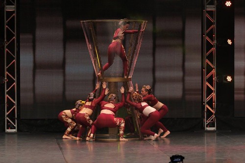 Custom Dance Costume Child Med 8-10 Acro Maroon - Picture 3 of 5