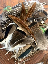 Random Mix 10pcs Natural 5-20cm Mixed Pack Feathers Decor DIY Art Craft