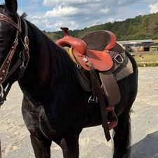 FABTRON DRAFT SADDLE