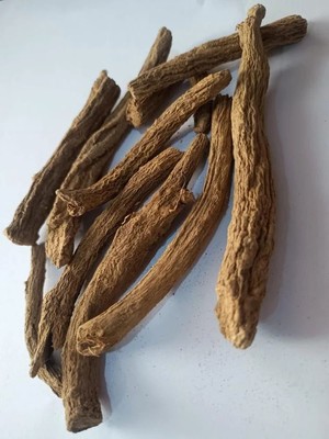 Eva Impex Kushta Roots   Saussurea Lappa (Indian Costus)