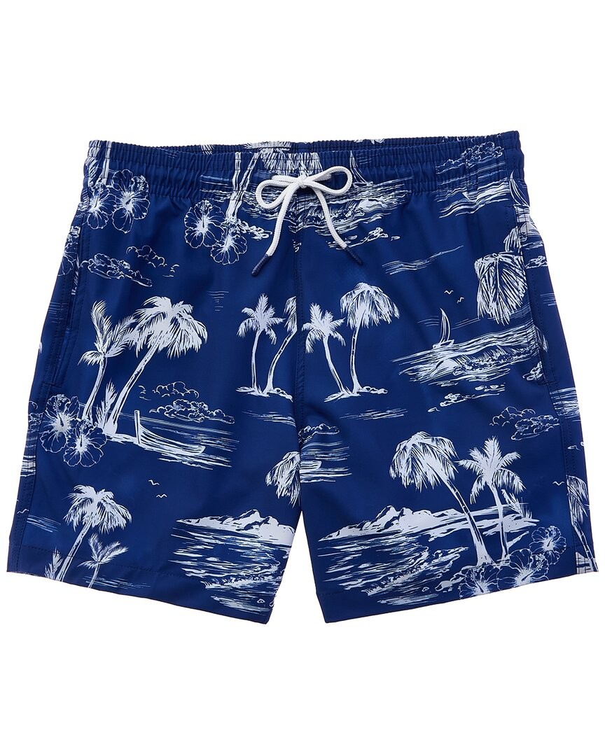 Мужские шорты для плавания Surf - Swim Co. Island Landscape Sano Swim Short Мужские шорты для плавания