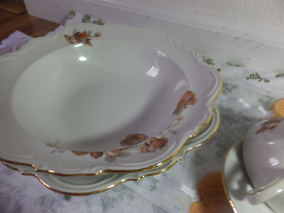 Mitterteich Bavaria Norway Rose Germany dinner china dishes set
