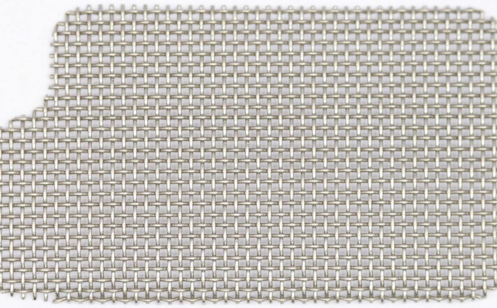 Muffler Screen Part Number 14586213930 For Echo eBay