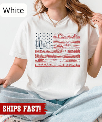 National Parks American Flag Shirt, Coastal Patriotic Shirt, Beachy Nautical Ame