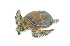 Green Sea Turtle, Hand Painted, Rubber Realistic, Toy , 6 Inches CH1003BB221