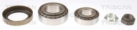 Radlagersatz Triscan 8530 10231 FüR Fiat Peugeot CitroËN Ducato C25 J5 Panorama
