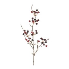 Berry Pod Spray Set of 6