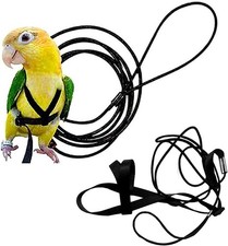 Adjustable Birds Harness and Leash Parrot Training Small, Black