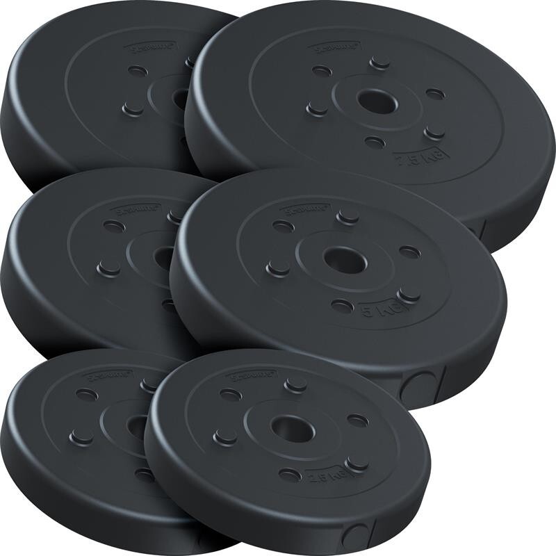 Support Murale Pour Disques De Poids 2,5 Cm - Acier, Capacité 250 Kg, Inclinaison Sécurisée - Pour Home Gym, Rangement
