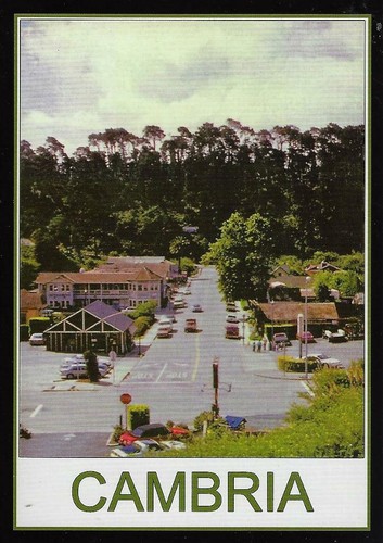 Cambria CA Village Pacific Coast Trees Hills Postcard 6” x 4 ¼” New Free Ship
