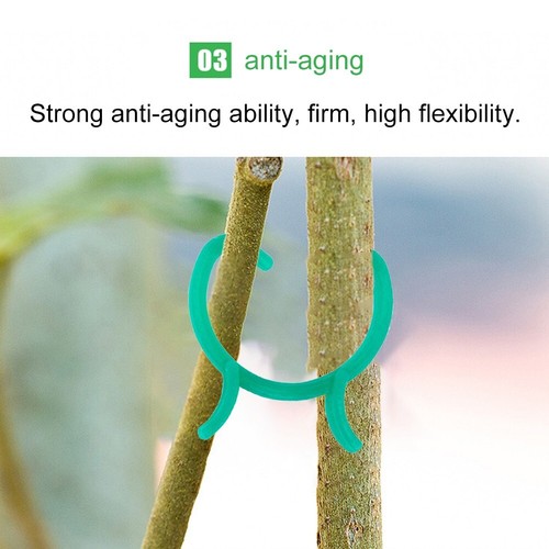Efficient Garden Plant Support Clips for Various Plant Types Pack of 100 - Picture 24 of 37