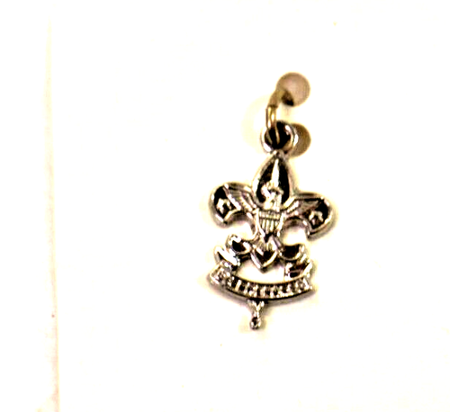 Vintage BSA Boy Scouts of America- Rank Charms 1970s-1980s - Picture 22 of 40