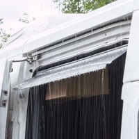 Remis Remicare Van Regenabweiser FüR Fiat Ducato Ab Bj. 07/2006
