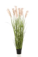 Artplants Kunst Pampasgras Alcantara Mit Rispen, GrüN, 175Cm