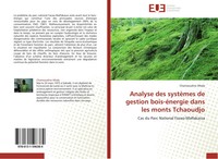 Chamsoudine Afoda | Analyse Des SystèMes De Gestion Bois-éNergie Dans Les...
