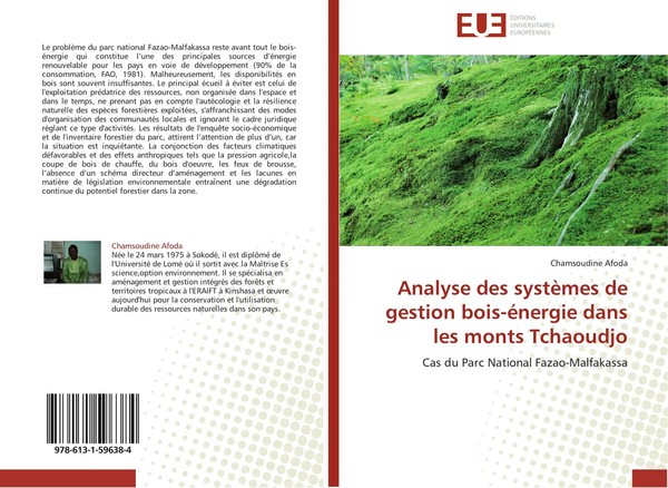 Chamsoudine Afoda | Analyse Des SystèMes De Gestion Bois-éNergie Dans Les...-image