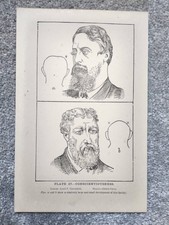 Conscientiousness - Phrenology - Antique Print - 1889