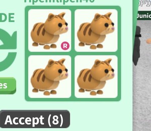 Download Roblox Adopt Me Ginger Cat 4 Pack (Make A Ride Neon) | eBay