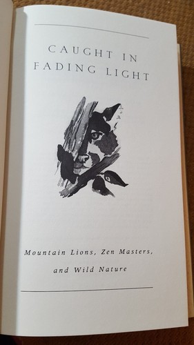 Caught in Fading Light : Mountain Lions, Zen Masters, and Wild Nature by Gary T… - Imagen 4 de 9