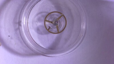 Balancier Complet Pour Montre FHF 70 Avec Incabloc - Neuf Sans Boîte